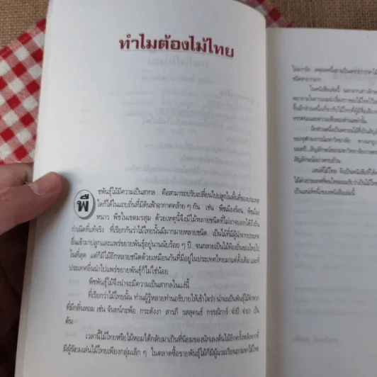 เสน่ห์ไม้ไทย - เสาวลักษณ์ สุขสมัย รูปที่ 10