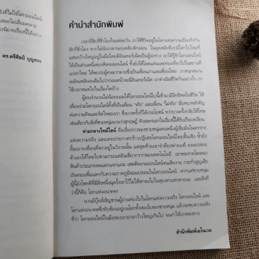 ท่ามกลางไทม์ไลน์ - ณ วัฒน์ รูปที่ 9