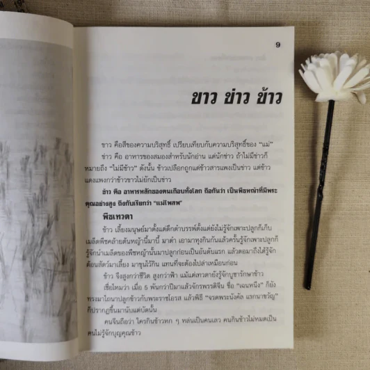 อาหารไทยสิแน่กว่าใคร - พลศรี คชาชีวะ รูปที่ 11