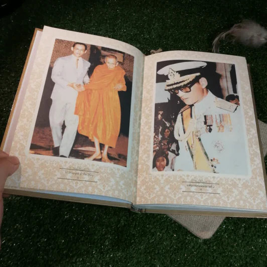 ทศพิธราชธรรมแห่งรัชกาลที่ 9 - โรม บุนนาค รูปที่ 9