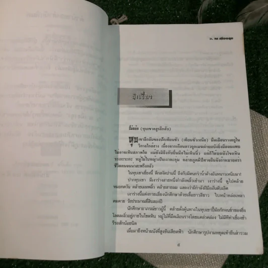 ท้ามัจจุราช 2 เล่มจบ - ว.ณ เมืองลุง รูปที่ 8