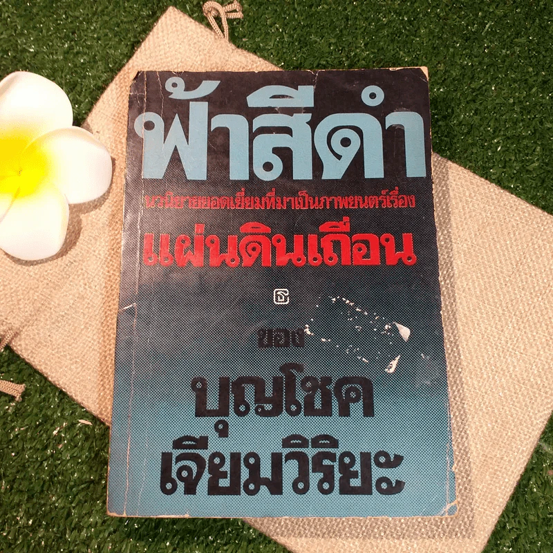 ฟ้าสีดำ แผ่นดินเถื่อน - บุญโชค เจียมวิริยะ รูปที่ 1