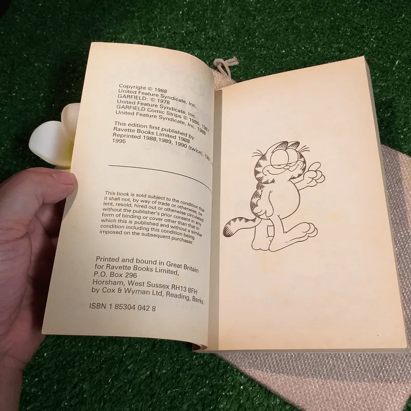Garfield Plays It Again - Jim Davis รูปที่ 5