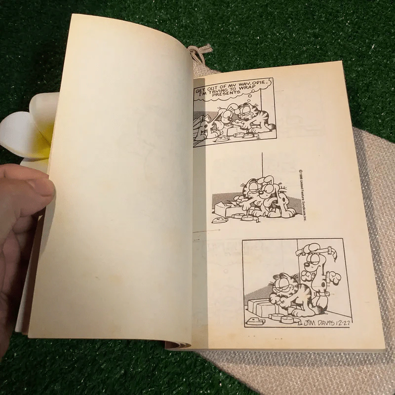 Garfield Plays It Again - Jim Davis รูปที่ 6