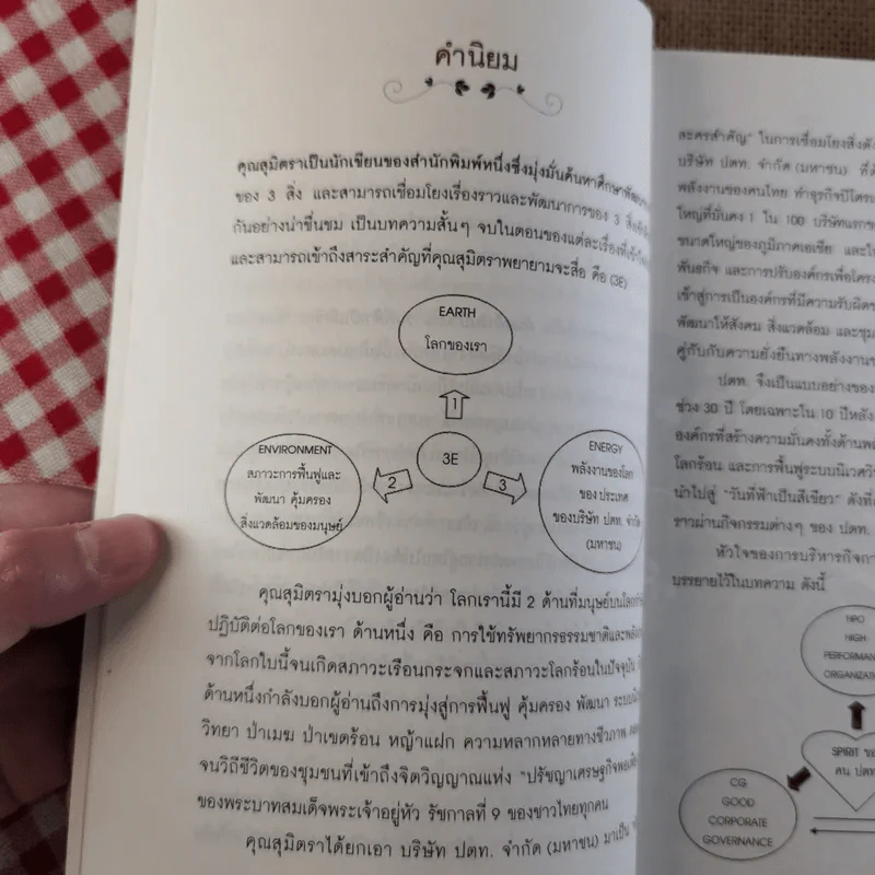 ต้นกล้าในป่าเมฆ วันที่ฟ้าเป็นสีเขียว - สุมิตรา จันทร์เงา รูปที่ 10