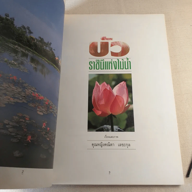 บัว ราชินีแห่งไม้น้ำ - คุณหญิงคณิตา เลขะกุล รูปที่ 7