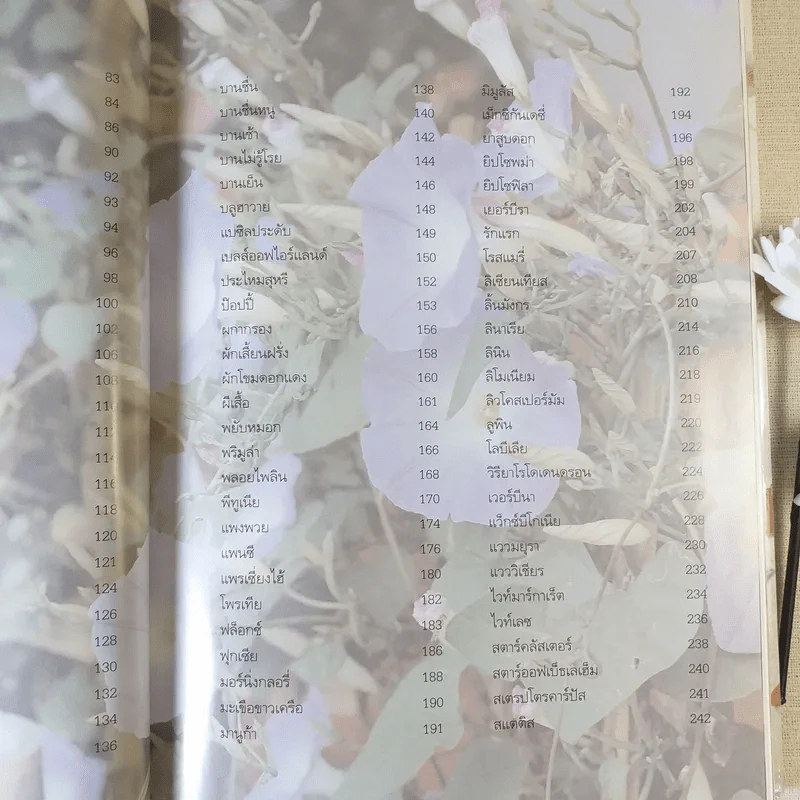 ไม้ดอกแสนสวย - ผศ.ธัญญะ เดชะศีลพิทักษ์ รูปที่ 11