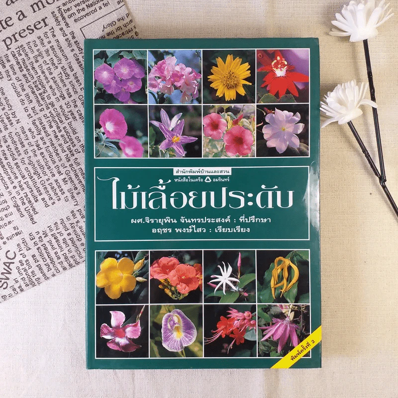 ไม้เลื้อยประดับ - ผศ.จิรายุพิน จันทรประสงค์, อฤชร พงษ์ไสว รูปที่ 1
