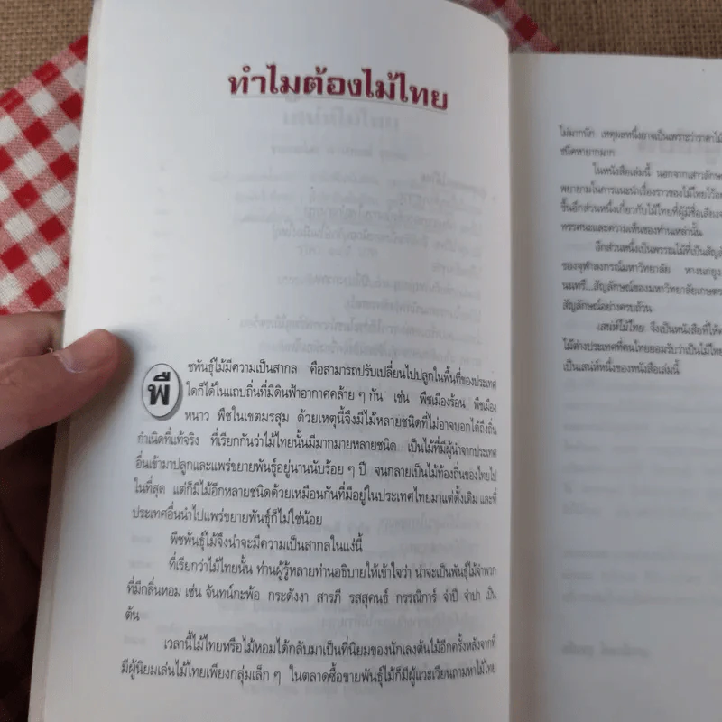 เสน่ห์ไม้ไทย - เสาวลักษณ์ สุขสมัย รูปที่ 10