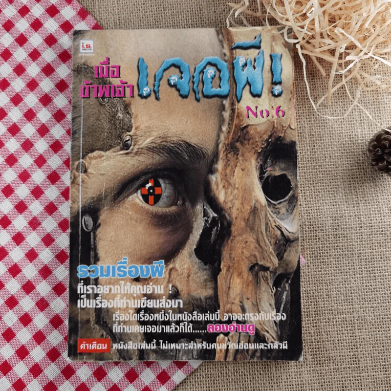 เมื่อข้าพเจ้าเจอผี No.6 รูปที่ 1