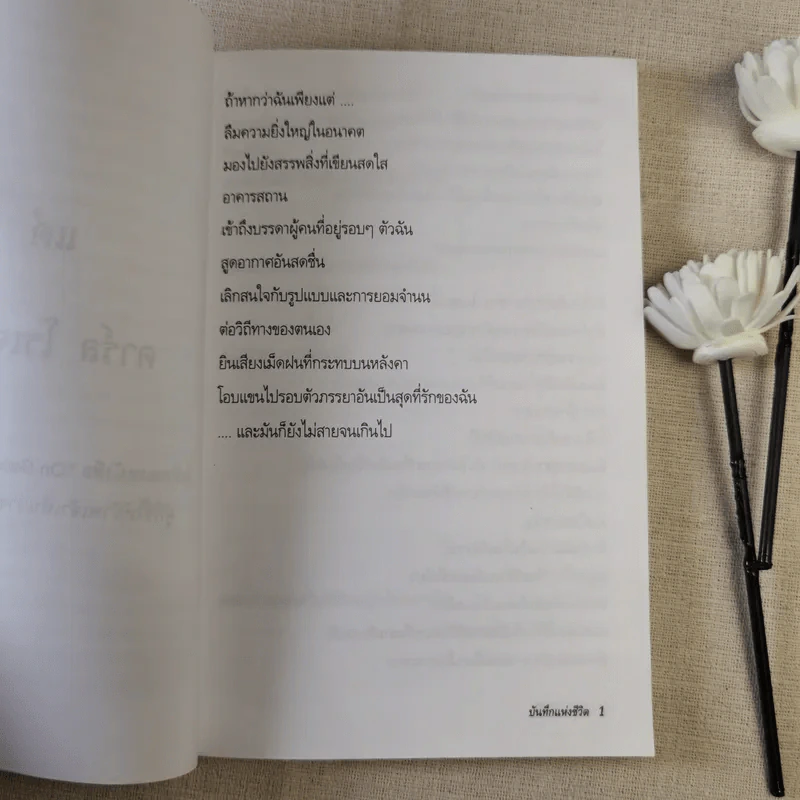 บันทึกแห่งชีวิต - ฮิวจ์ พราเธอร์ รูปที่ 8