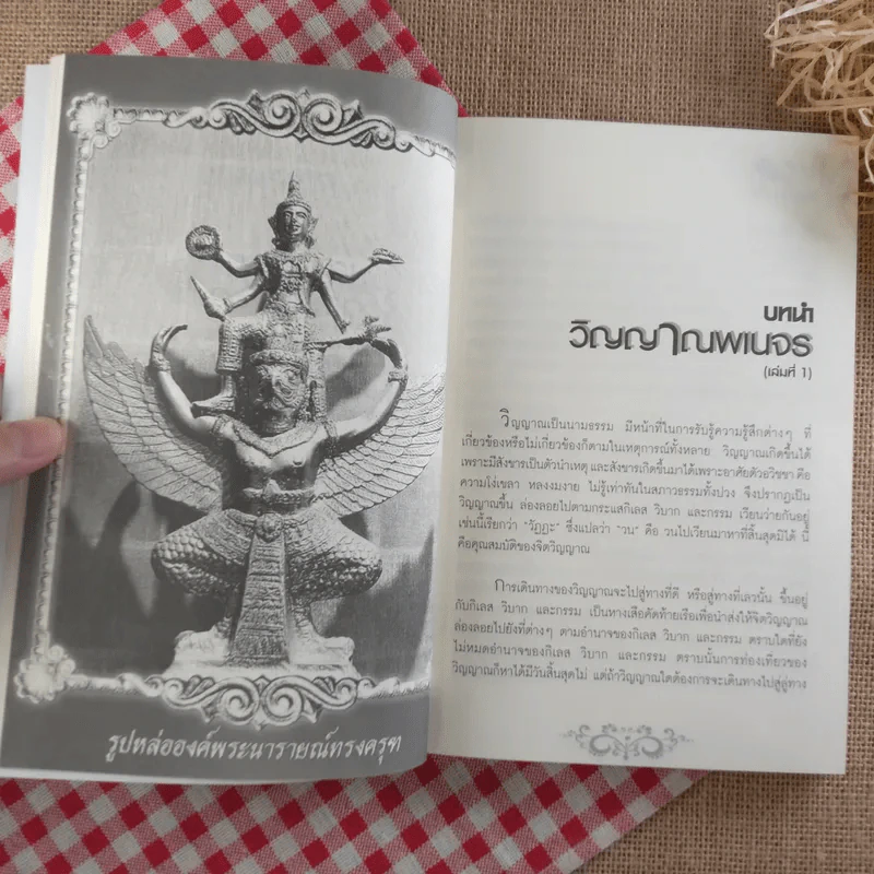 วิญญาณพเนจร Roaming Souls - ส พันธุ์คีรี รูปที่ 16