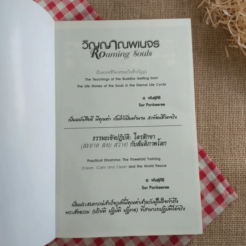 วิญญาณพเนจร Roaming Souls - ส พันธุ์คีรี รูปที่ 7