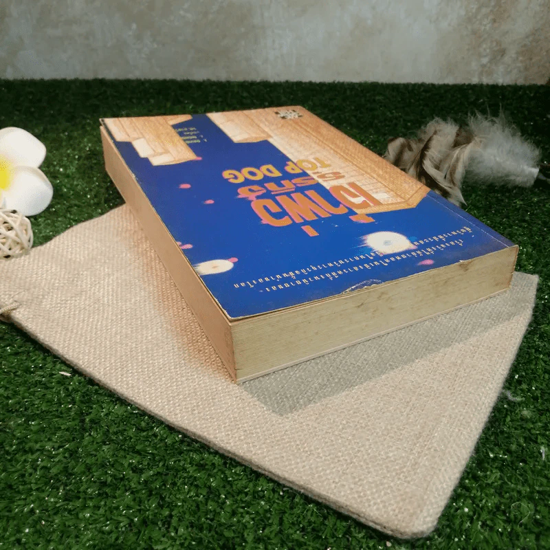 เจ้าพ่อธุรกิจ Top Dog - J.David Pincus, J.Nicholas DeBonis รูปที่ 5