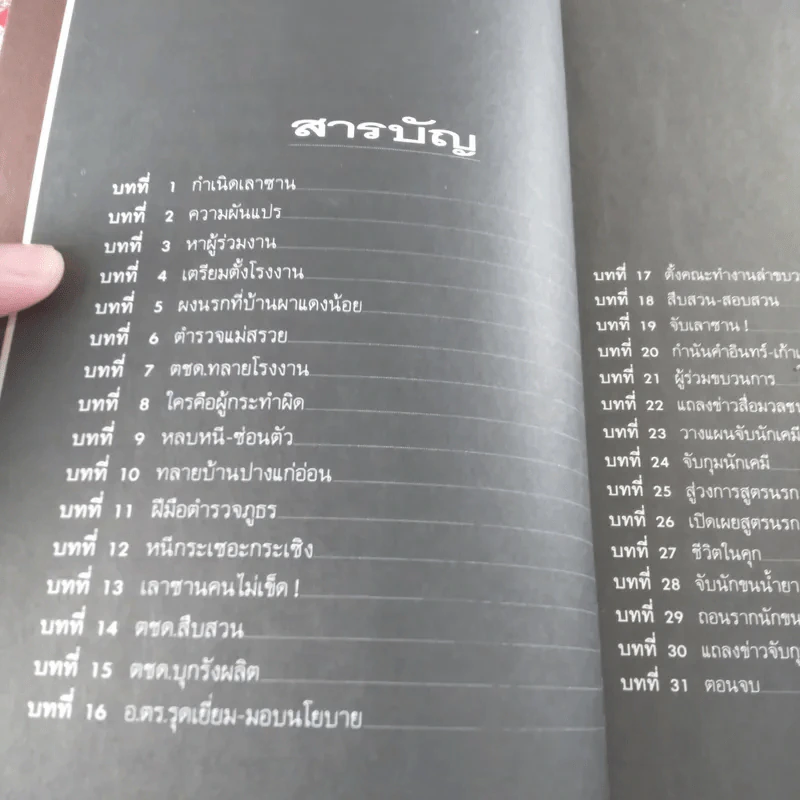 เลาซาน: พล.ต.ต.สมเกียรติ พวงทรัพย์ เรื่องจริงจากแฟ้มอาชญากรรม รูปที่ 11