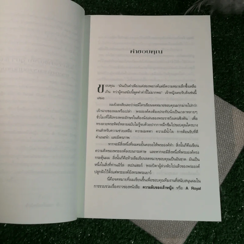 ความลับของเจ้าหญิง A Royal Duty - พอล เบอ์เรล รูปที่ 9