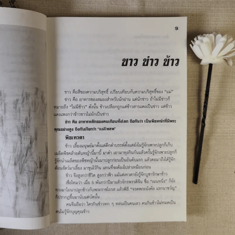 อาหารไทยสิแน่กว่าใคร - พลศรี คชาชีวะ รูปที่ 11