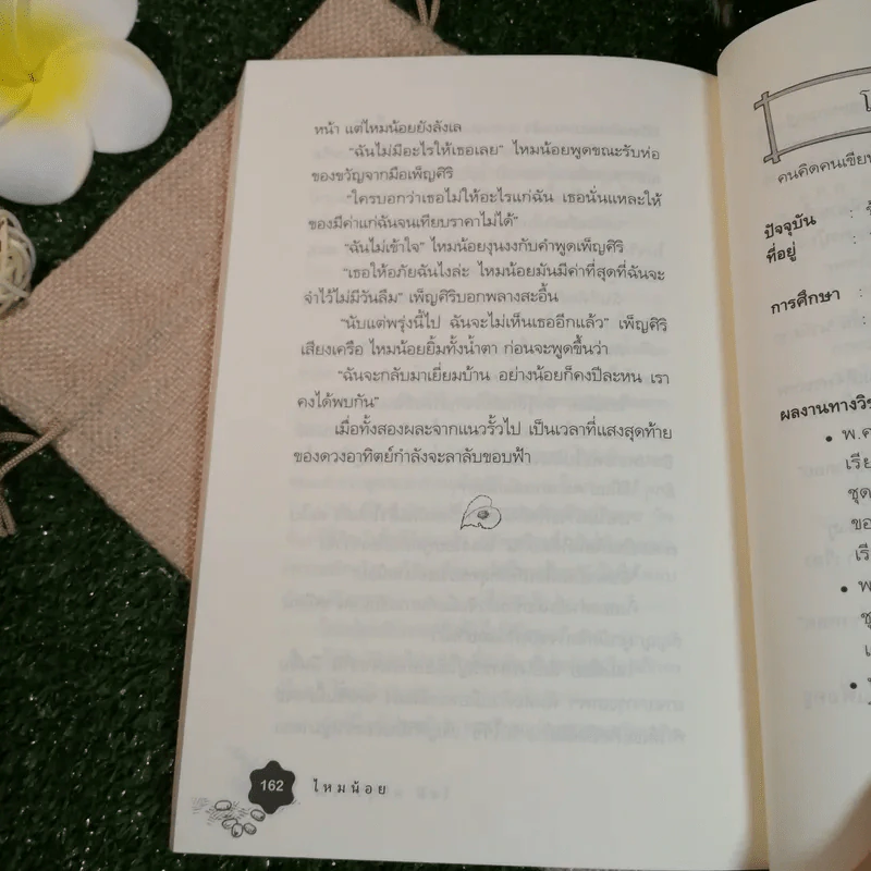 ไหมน้อย - โชติ ศรีสุวรรณ รูปที่ 8