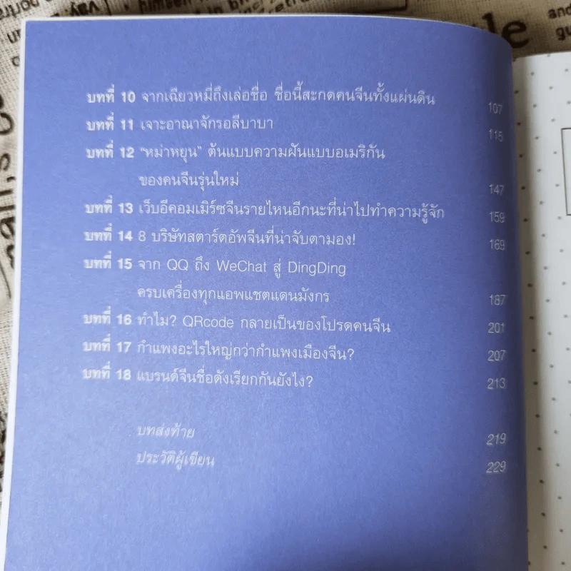 หาวห่าว Marketing การตลาดจีนยุคใหม่ที่คุณต้องร้องโอ้โห - วรมน ดำรงศิลป์สกุล รูปที่ 10