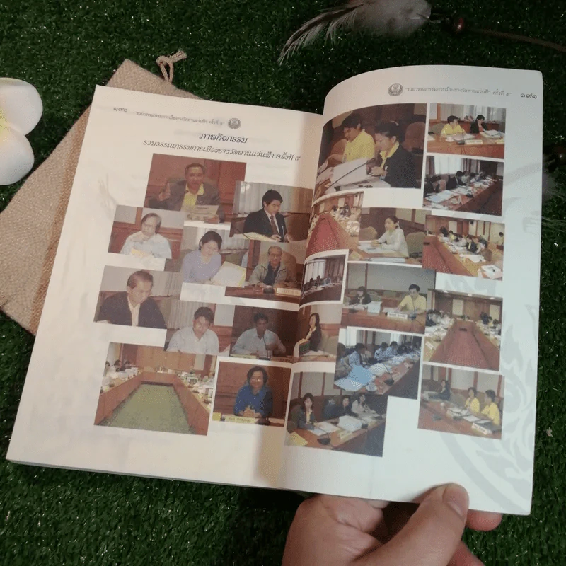 การจากไปของนกเค้า รูปที่ 6