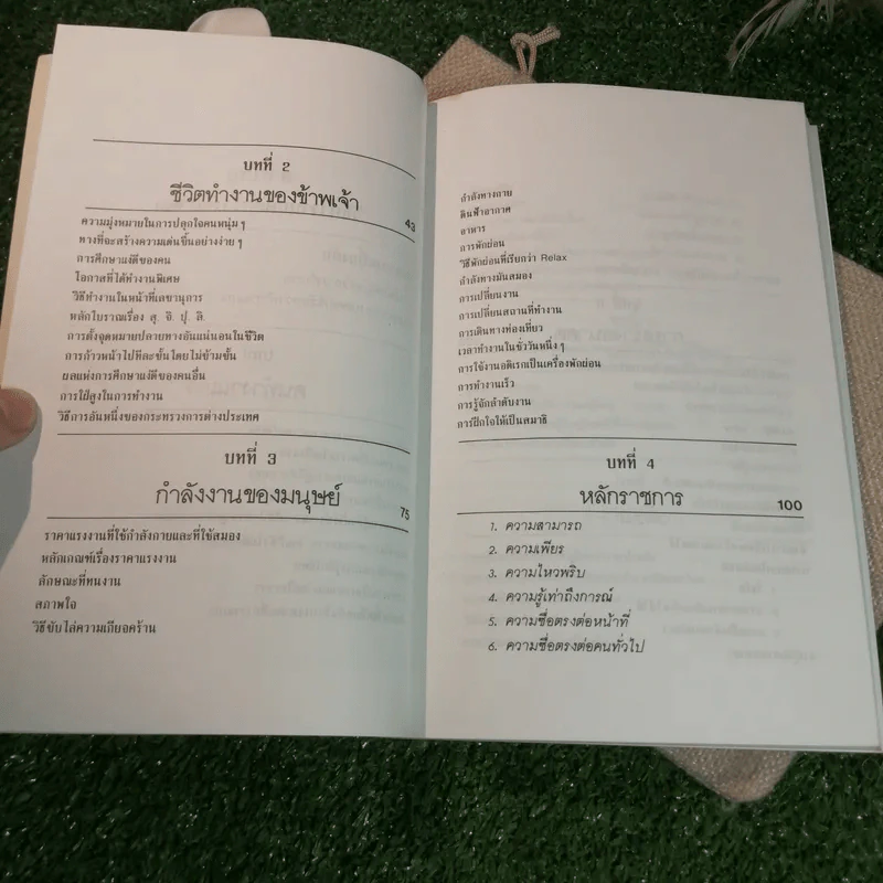 วิธีทำงานและสร้างอนาคต - หลวงวิจิตรวาทการ รูปที่ 10