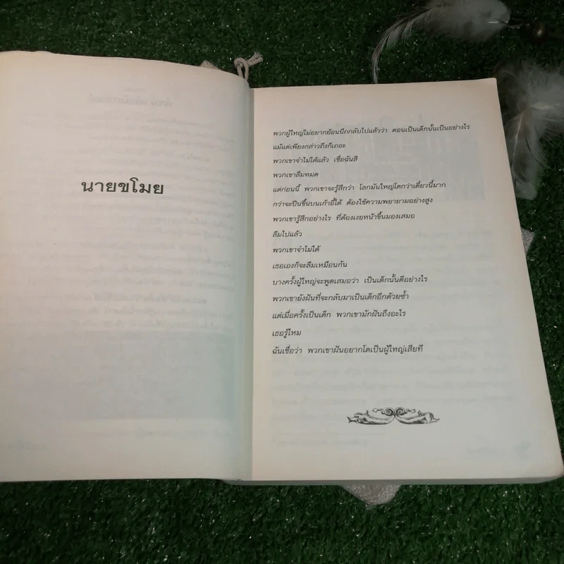 นายขโมย ความฝันอันยิ่งใหญ่ของเด็กชายที่กลายเป็นจริง - Cornelia Funke รูปที่ 8
