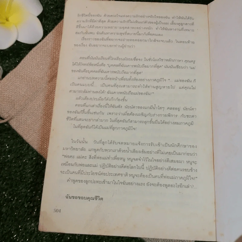 ดวงใจแม่สูงดั่งตะวัน - จ้าวติ้งจุน รูปที่ 11