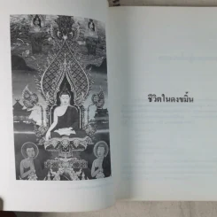 สองทศวรรษในดงขมิ้น - ไต้ ตามทาง รูปที่ 14