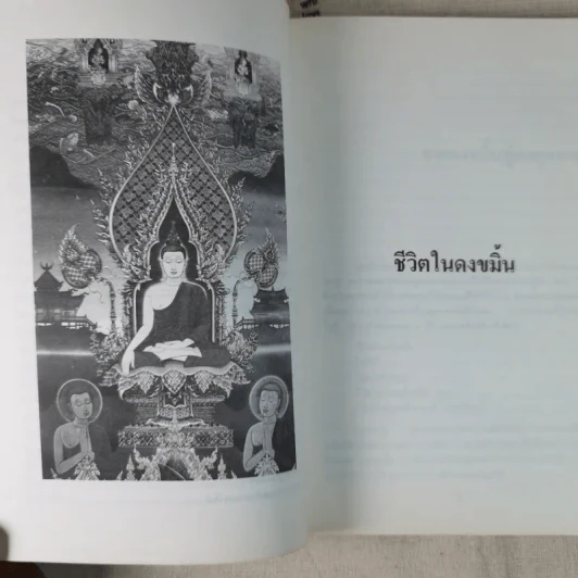 สองทศวรรษในดงขมิ้น - ไต้ ตามทาง รูปที่ 14