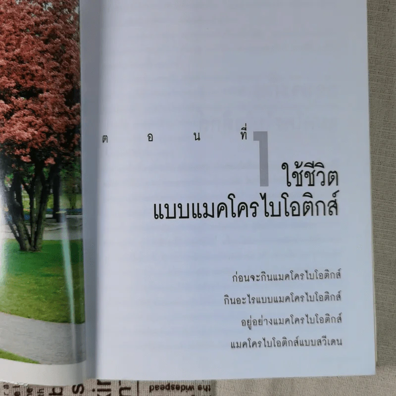 แมคโครไบโอติกส์ การกินอาหารและใช้ชีวิตกับธรรมชาติ - สิทรา พรรณสมบูรณ์ รูปที่ 13