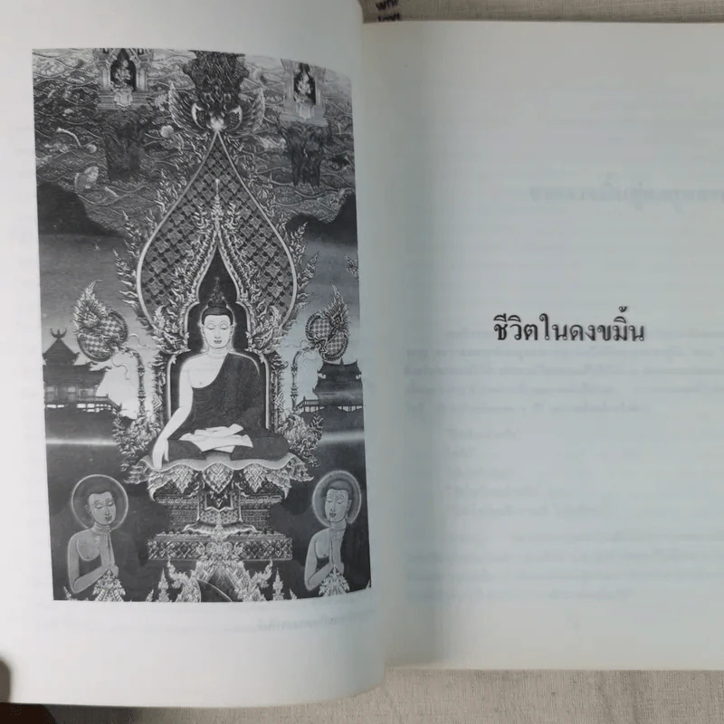 สองทศวรรษในดงขมิ้น - ไต้ ตามทาง รูปที่ 14