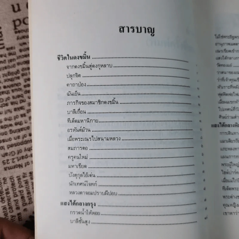 สองทศวรรษในดงขมิ้น - ไต้ ตามทาง รูปที่ 12