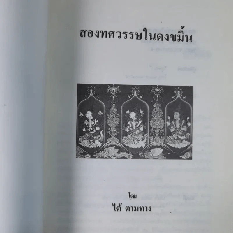 สองทศวรรษในดงขมิ้น - ไต้ ตามทาง รูปที่ 7