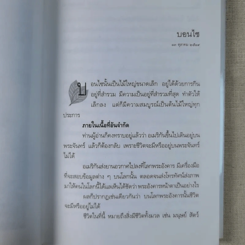 ชมสวน ต้นไม้ใบหญ้าคือความสงบเย็นแห่งจิตใจ - คึกฤทธิ์ ปราโมช รูปที่ 13