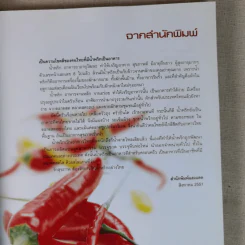 น้ำพริกเป็นอาชีพ รูปที่ 11