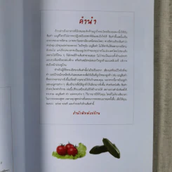 ส้มตำ ยำ ลาบ ใครทำก็รวย รูปที่ 4