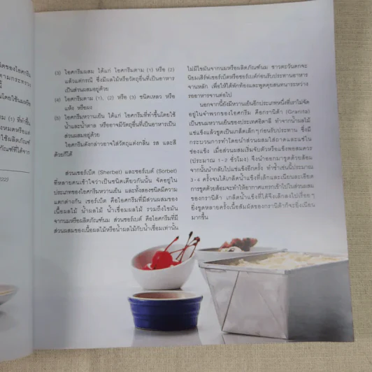 Fruit Ice Cream ไอศกรีมผลไม้ - เป็นเอก ทรัพย์สิน รูปที่ 16
