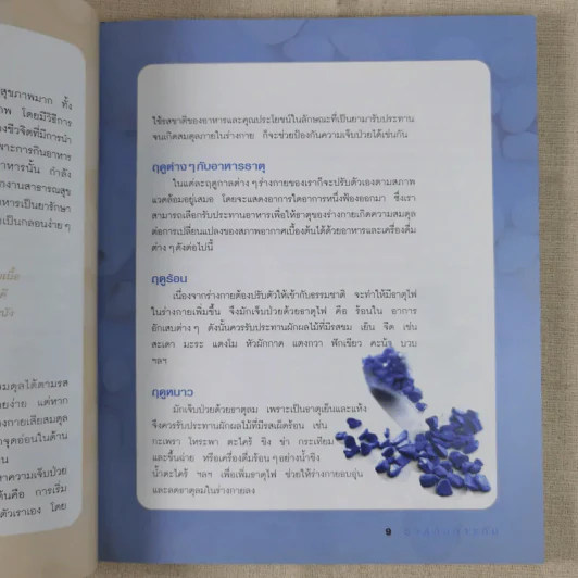 กินดื่มตามธาตุ - วนิดา คุ้มอนุวงศ์ รูปที่ 13