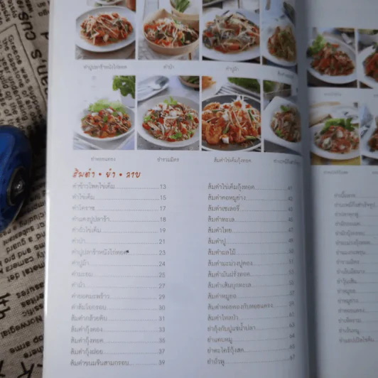 ส้มตำ ยำ ลาบ ใครทำก็รวย รูปที่ 5