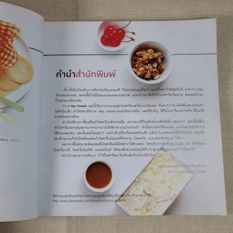 Fruit Ice Cream ไอศกรีมผลไม้ - เป็นเอก ทรัพย์สิน รูปที่ 9