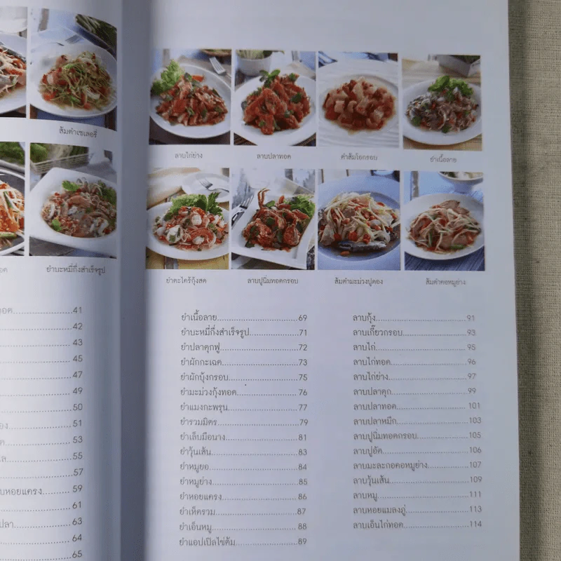 ส้มตำ ยำ ลาบ ใครทำก็รวย รูปที่ 6