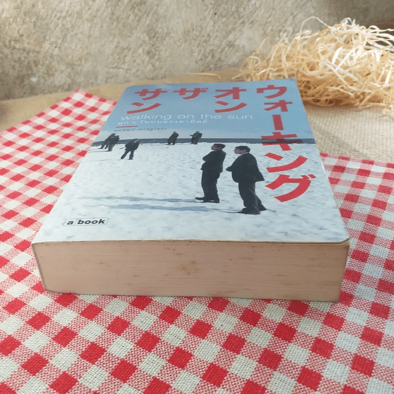 Walking on the sun ทุกๆวันบนดวงอาทิตย์ - ชนพัฒน์ เศรษฐโสรัถ รูปที่ 5