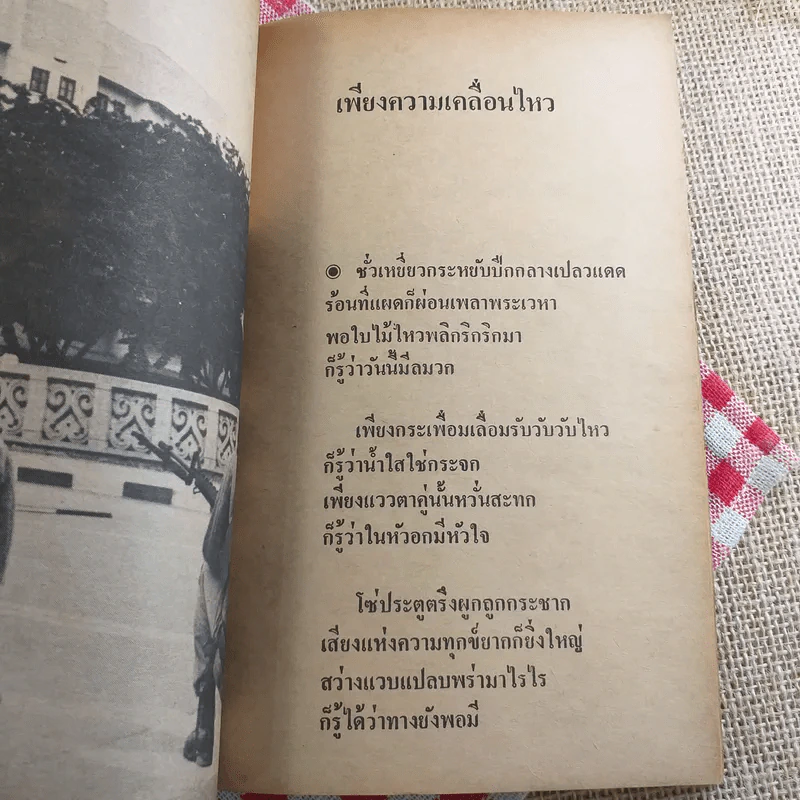 เพียงความเคลื่อนไหว - เนาวรัตน์ พงษ์ไพบูลย์ รูปที่ 22