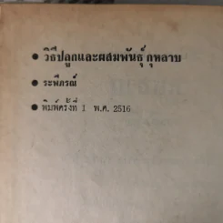 วิธีปลูกและผสมพันธุ์กุหลาบ - ระพีภรณ์ รูปที่ 9