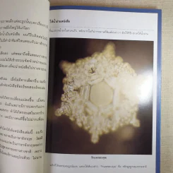 มหัศจรรย์แห่งน้ำ คำตอบเพื่อชีวิตที่ดีกว่า รูปที่ 12
