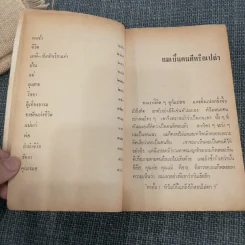 รวมเรื่องเอกของโรสลาเรน รอยอาลัย รูปที่ 10
