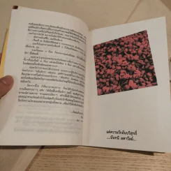 ยังไม่สิ้นกลิ่นรัก - อีแร้ง รูปที่ 11