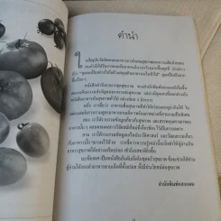 มะเขือเทศ ตำรับอาหารเพื่อสุขภาพ - ทีมงานนิตยสารครัว รูปที่ 10