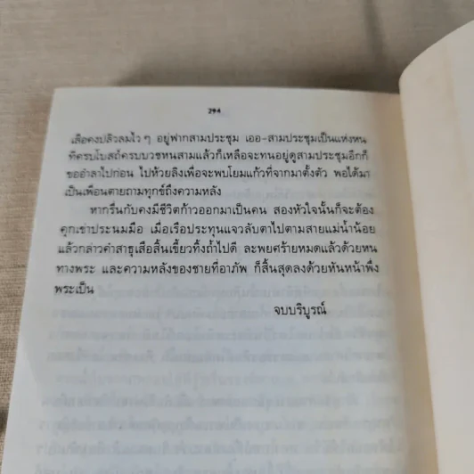 ชายสามโบสถ์ - ไม้ เมืองเดิม รูปที่ 11