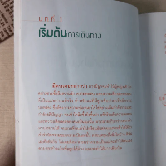 พลังแห่งรักและปัญญา พัฒนาลูกออทิสติก - พุทธิตา รูปที่ 12
